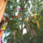 Vraj-Yatra-2014- (1703)